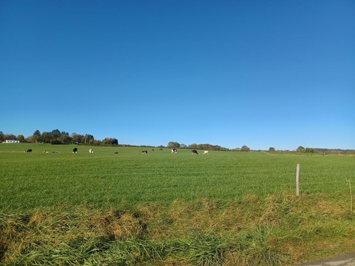 Le Poirier De Warre Villa Durbuy Bagian luar foto