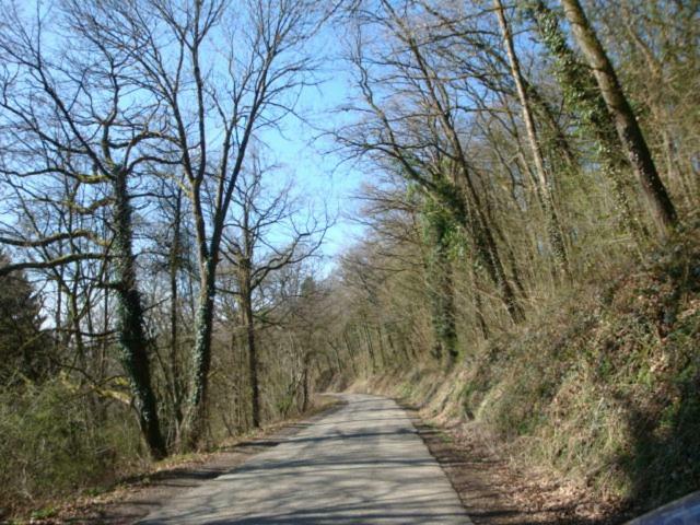 Le Poirier De Warre Villa Durbuy Bagian luar foto